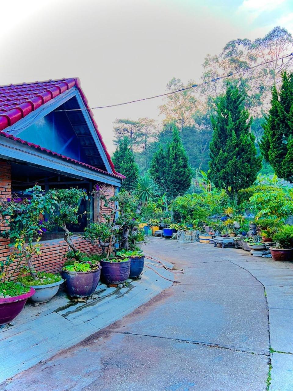 Hoa Chuong - Villa - Homestay Da Lat Kültér fotó